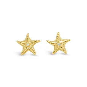 Small Starfish Earrings